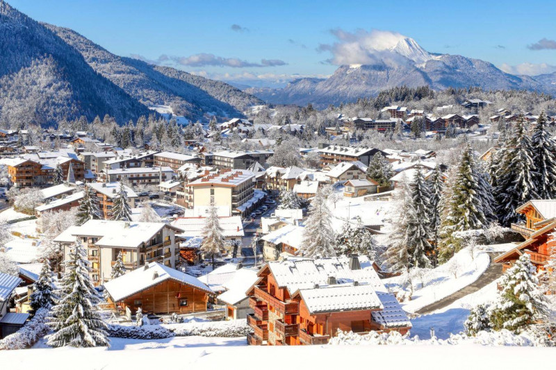 _clients_227430004_photos_81i_8776820