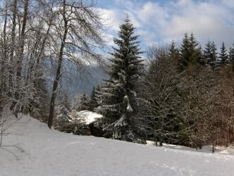 _clients_227430004_photos_85f_8614255 _clients_227430004_photos_85f_8614255