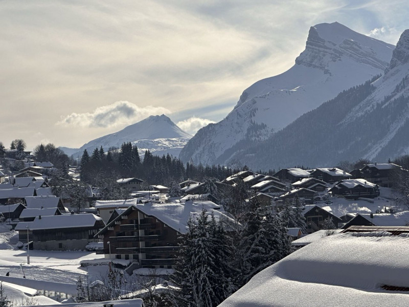 _clients_227430004_photos_96m_8619577 _clients_227430004_photos_96m_8619577