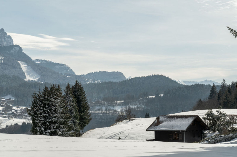 _lv_images__lot_0010461403_10_8252524