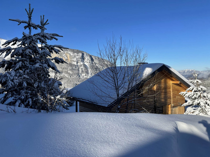 _lv_images__lot_0015003059_15_8104770