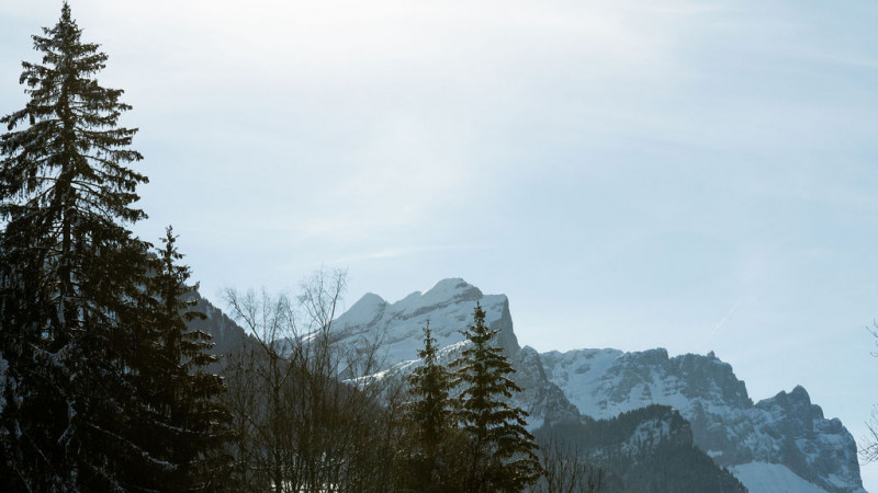 _lv_images__lot_0024308224_10_8104520
