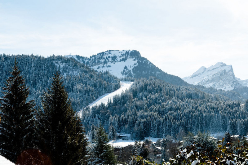 _lv_images__lot_0024308297_09_8127741