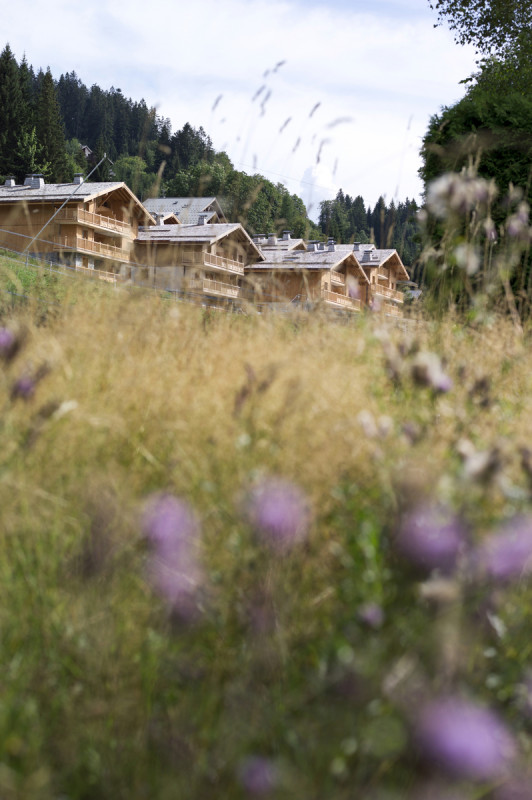 cgh-les-chalets-de-jouvence-ext-ete-studiobergoend-17-8301461