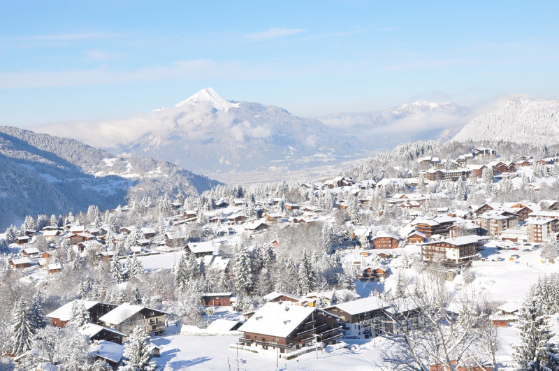 dsc-0073-8579171 dsc-0073-8579171