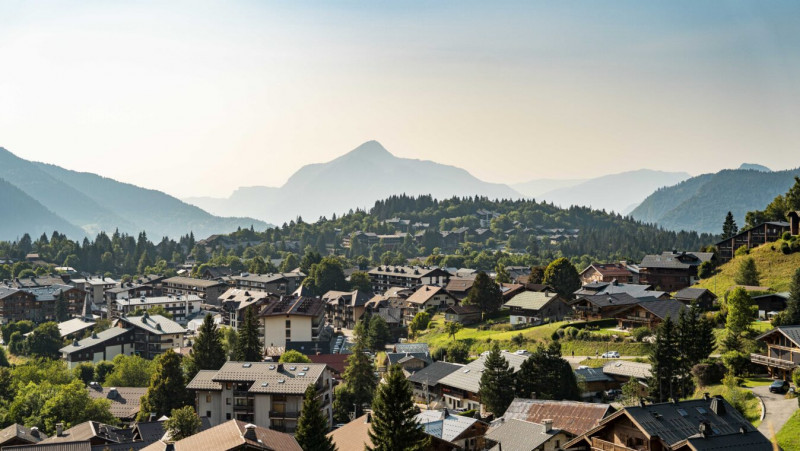 image-9200849