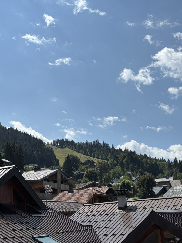 img-4221-9167858